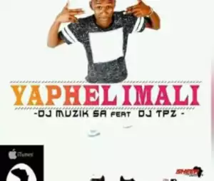DJ Muzik SA - Yaphelimali (Original Mix) Ft. DJ Tpz